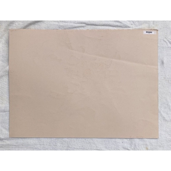 Michael Schofield “Pheasants” Signed Artist Proof Serigraph Print 30”X22” - Picture 6 of 6